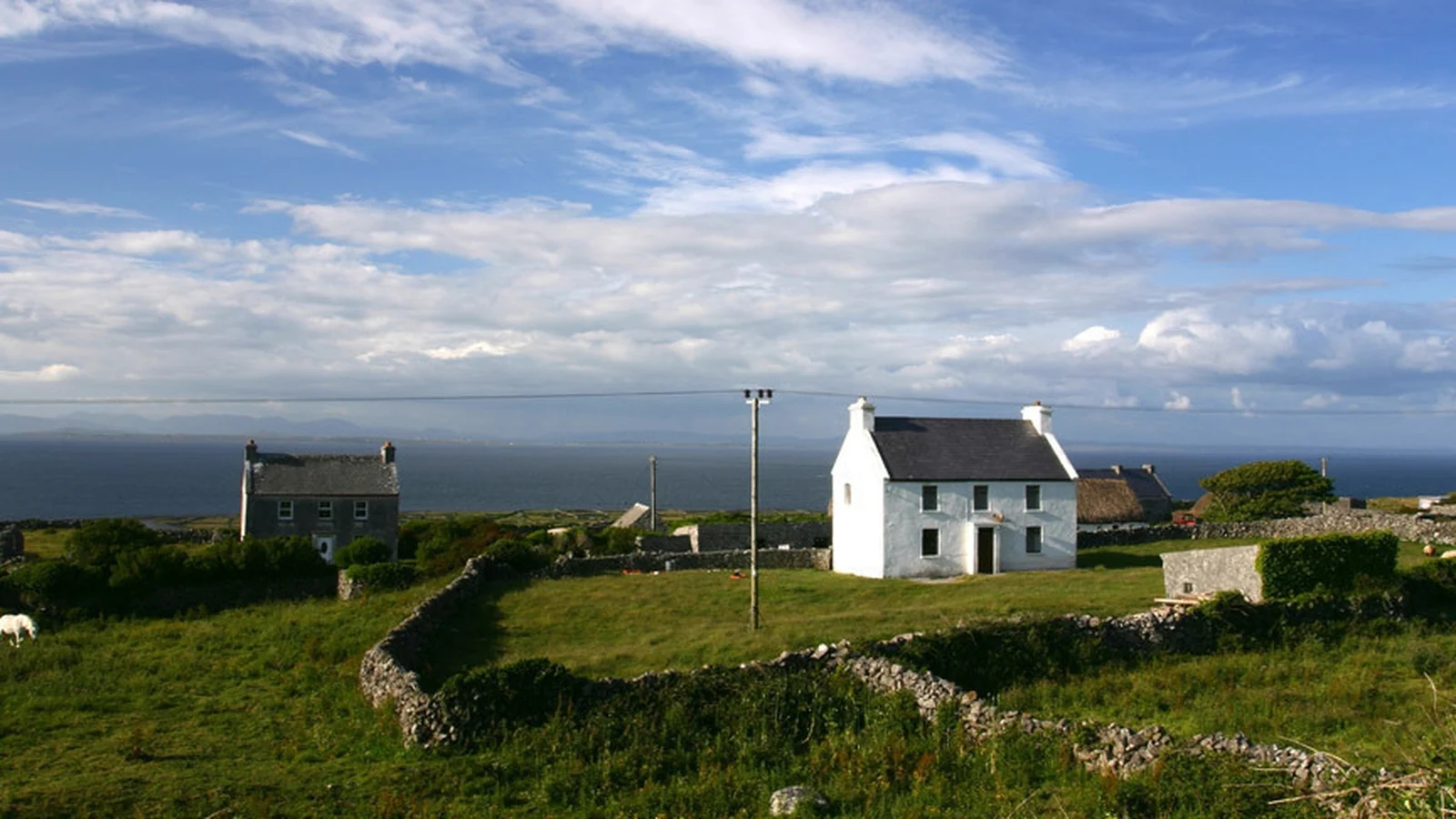 Traditional white Irish cottage by the coast with stone walls and green fields