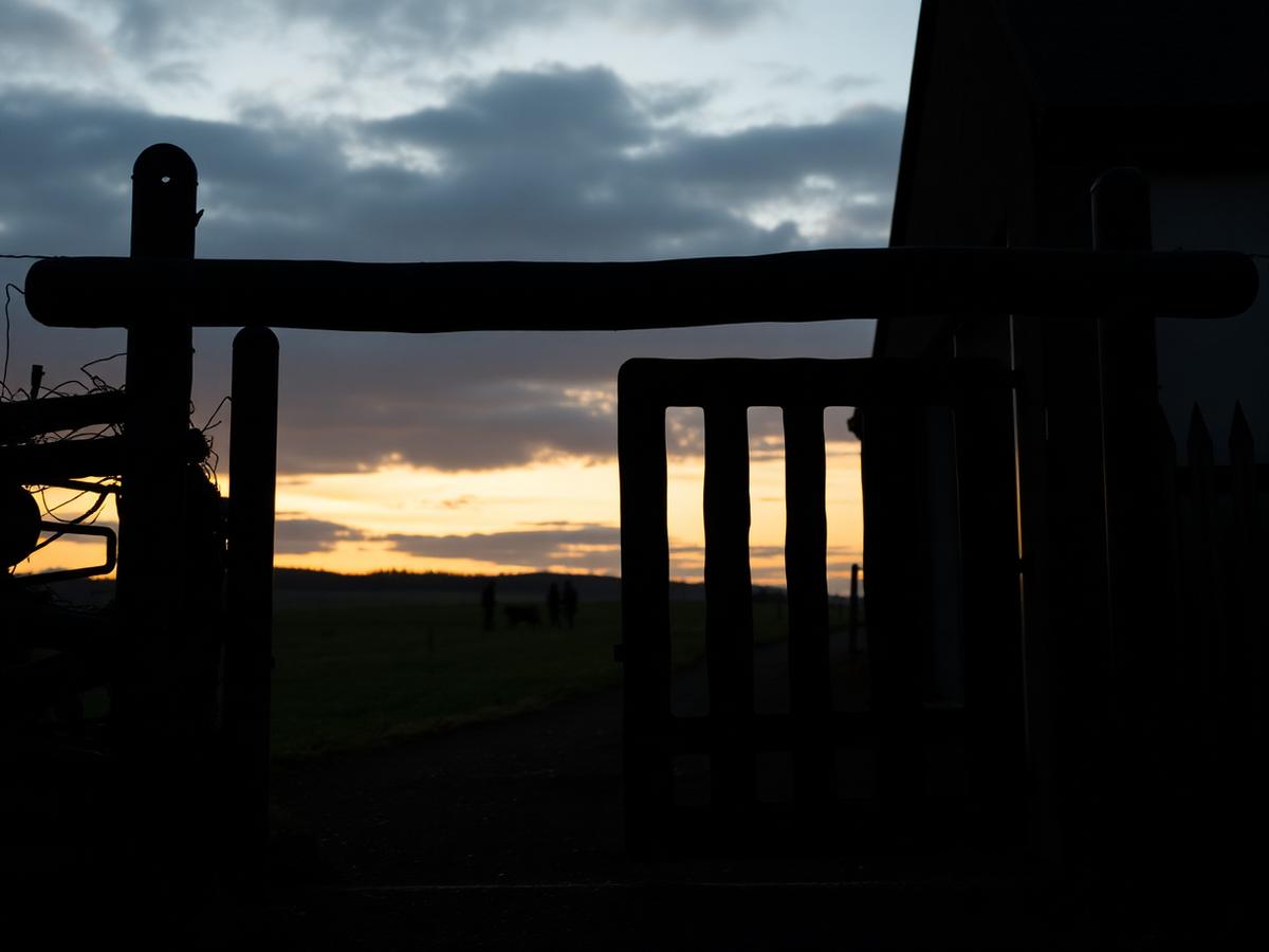 A farm gate at dusk with figures walking across a field in the distance